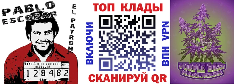 Магазины продажи наркотиков Губаха A PVP мега как зайти Гашиш Галлюциногенные грибы