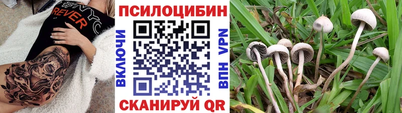Галлюциногенные грибы Cubensis Губаха