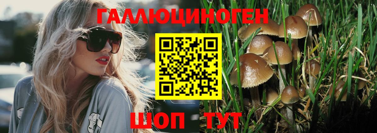 Псилоцибиновые грибы ЛСД  Вход с VPN  где купить наркоту  Губаха 