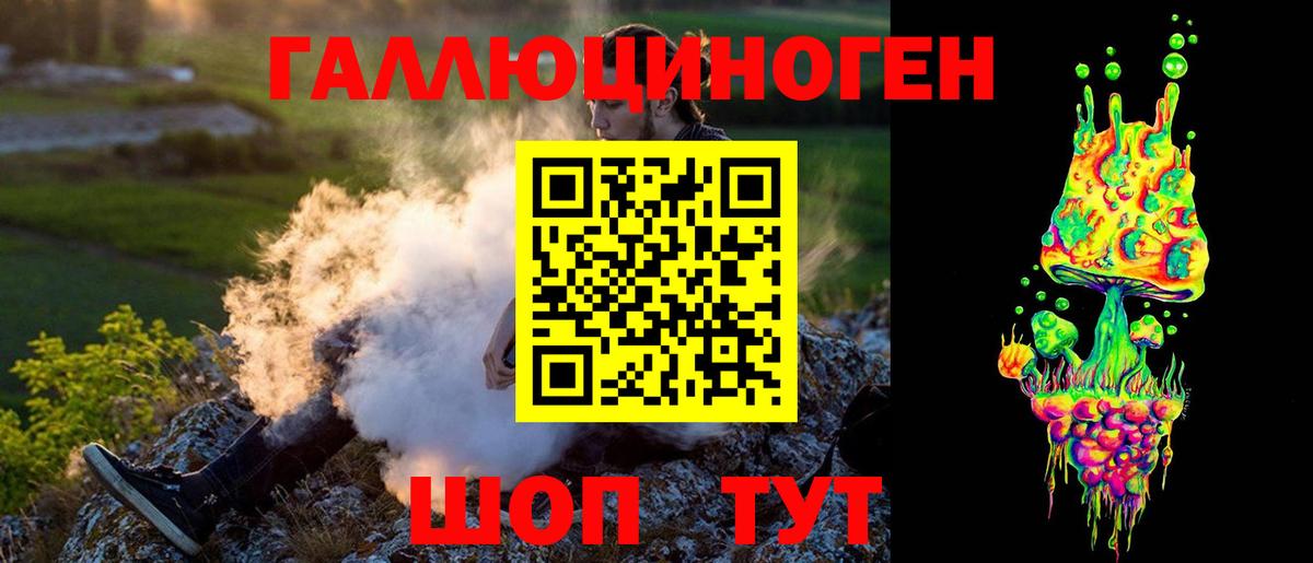 Галлюциногенные грибы MAGIC MUSHROOMS Губаха