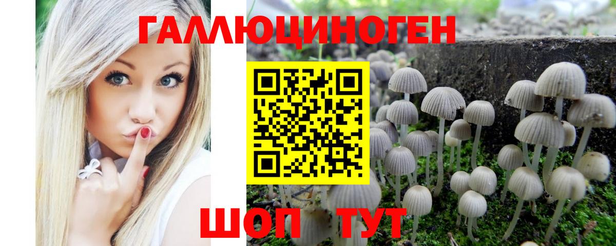 Конопля Губаха