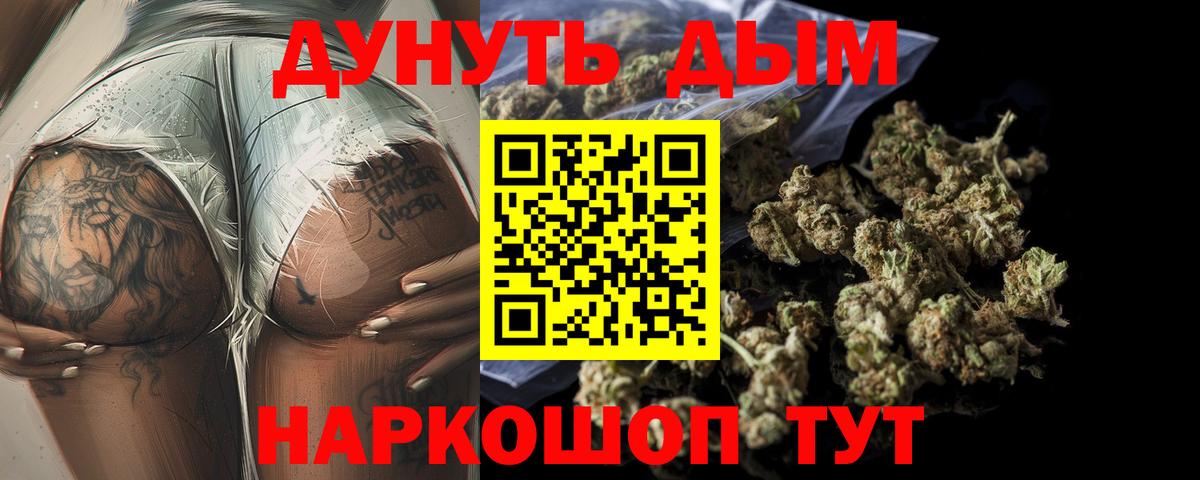 Конопля планчик Губаха